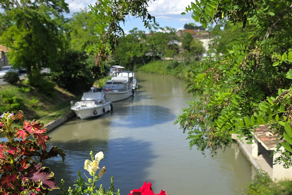 Boat-filled canal lined with trees, seen from a foreground frame of red and white flowers.
